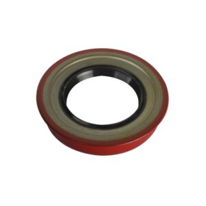 Bert Transmission Rear Oil Seal