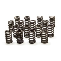 GM Valve Springs 256lb/in Rate
