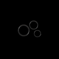 O-Ring