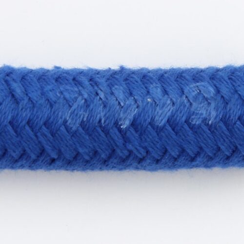 #10 Blue AQP Hose 10'