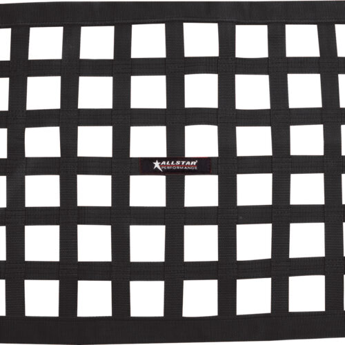 Window Net Ribbon Style 18 x 24 Black Non-SFI