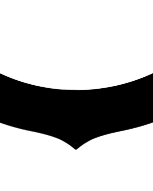 Extension Predator Hood Carbon Fiber 5.5in Tall