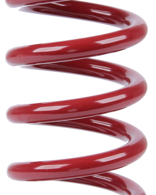 Spring 10in Coil-Over 2.5in OD