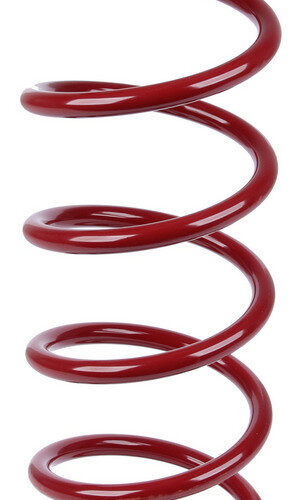 Spring 16in Rear 5in OD