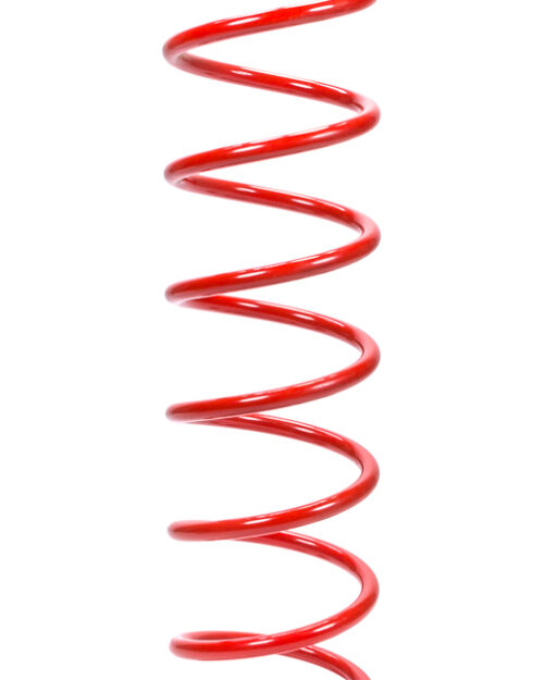 20in x 5in Rear Spring 100lb