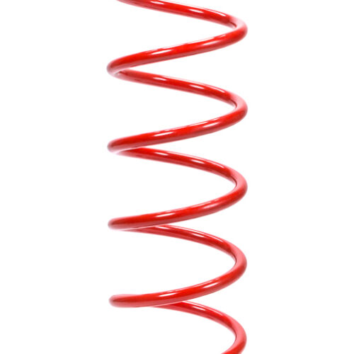 20in x 5in Rear Spring 125lb