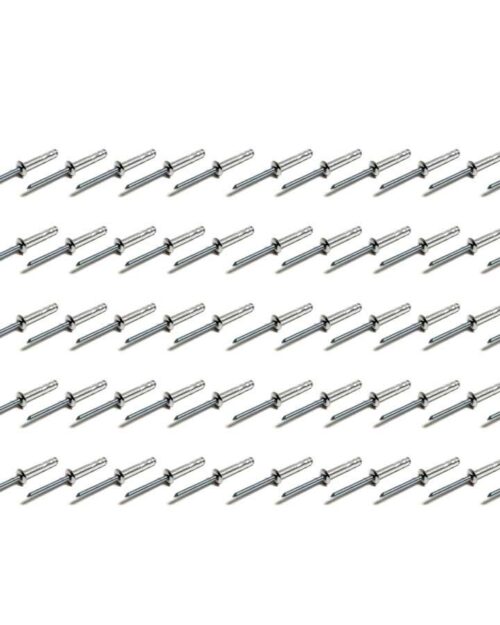Small Head Rivet Silver 100pc 3/16in Long Shank