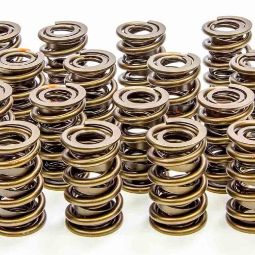 1.560in Valve Springs