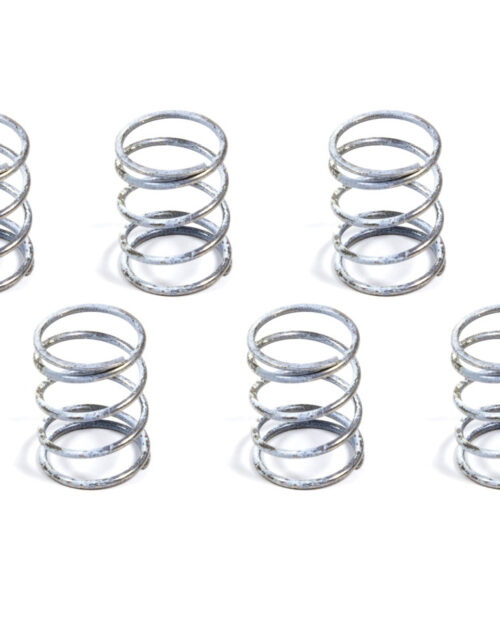 Next Gen. Light Spring (8)