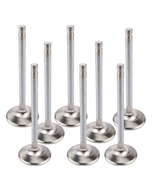 1.600 R/M Exhaust Valves 5/16 5.040 AOL