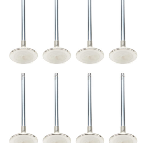 SBC 1.625 SD Exhaust Valves 5/16 5.640 OAL