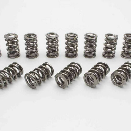 1.620 Dual Valve Springs - Polished