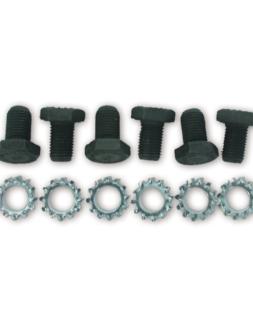 GM Flex Plate Bolts