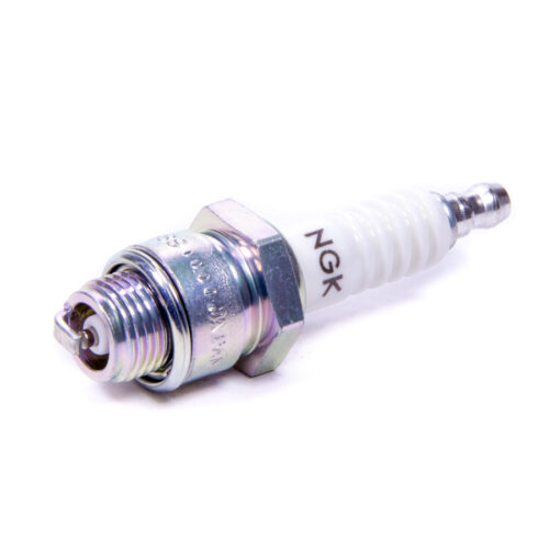Ngk Spark Plug Stock 3810