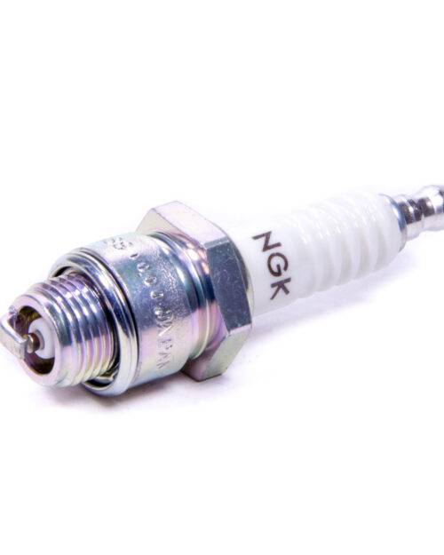 Ngk Spark Plug Stock 3810