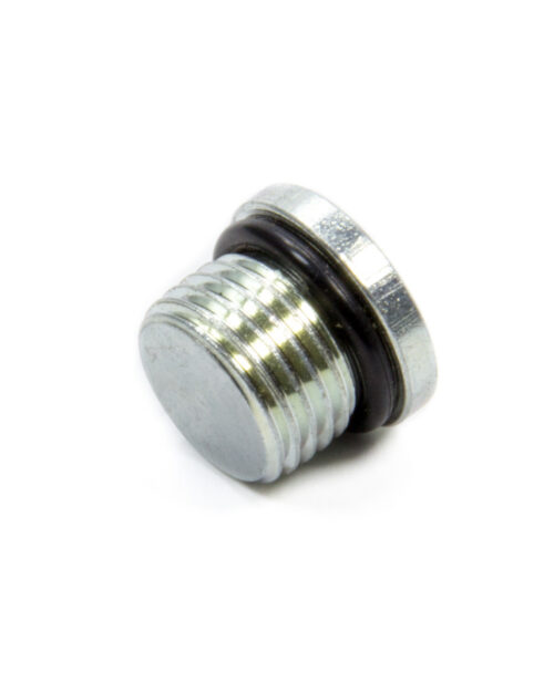 Tank Fitting -6an Plug