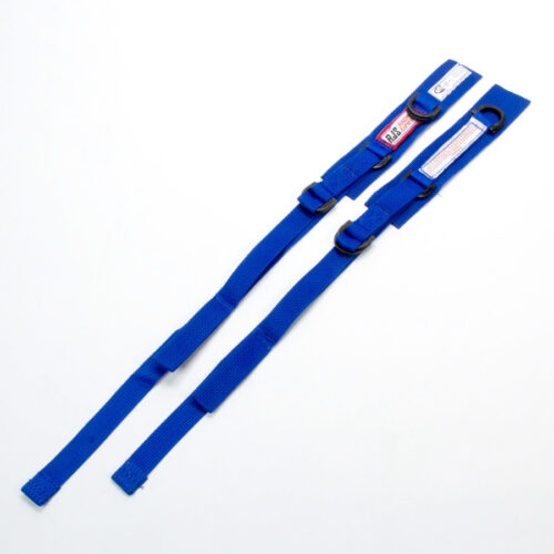 Blue Arm Restraints