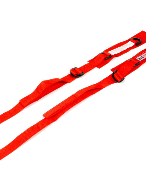 Red Arm Restraints