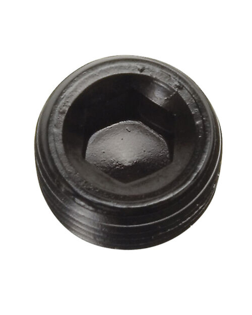 P/C 3/8 NPT Pipe Plug
