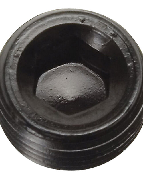 P/C 1/2 NPT Pipe Plug