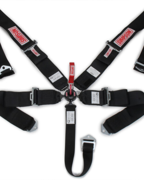 5-PT Harness System CL P/D B/I Ind 55in