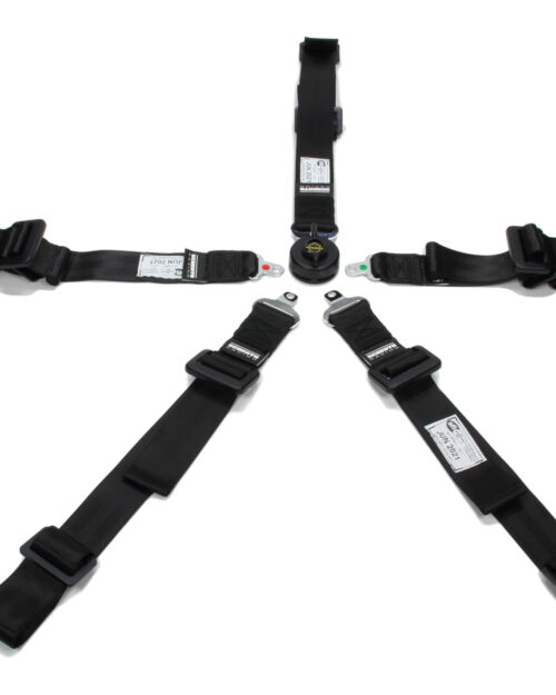5pt Harness Profi 2x2 Pull-Down Lap