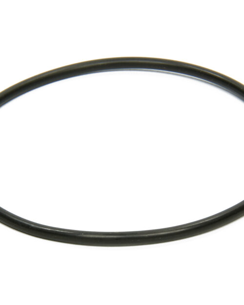 Seal Plate Small Dia O-Ring