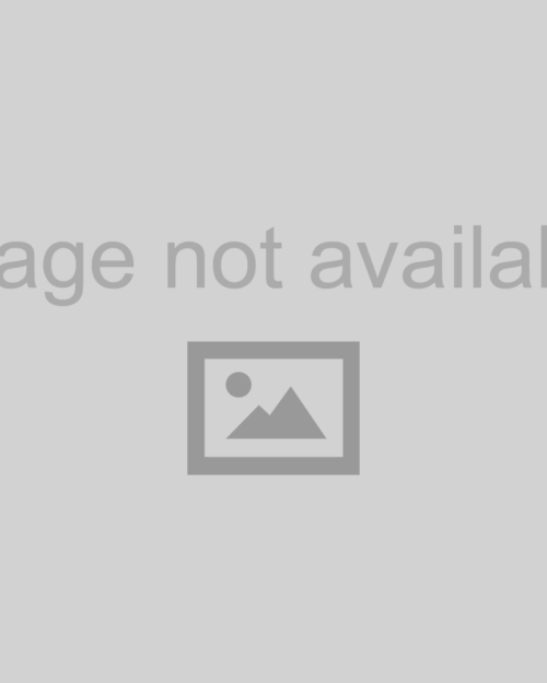 Repl Ball Joint Stud 22460 With Small Ball