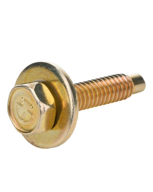 Body Bolt 1-1/8in 10pk Gold