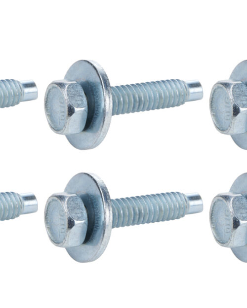 Body Bolt 1-1/8in 10pk Silver