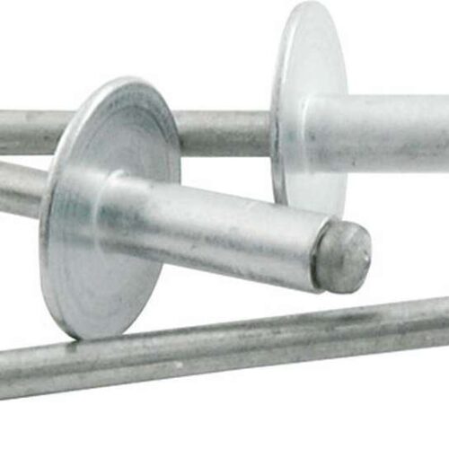 Lg Hd Rivet 250Pk Silver