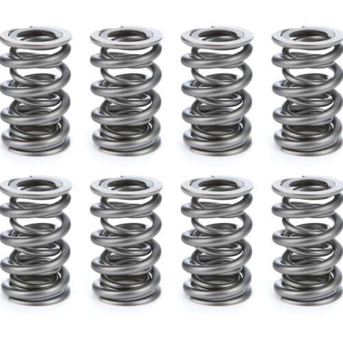 Valve Spring Set
