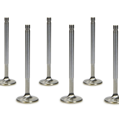 SBC C/P 1.600 Exhaust Valves 5/16  5.160 OAL