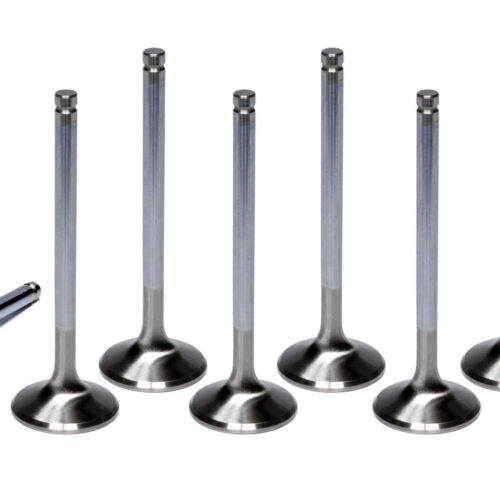 SBC C/6 1.600 Exhaust Valves