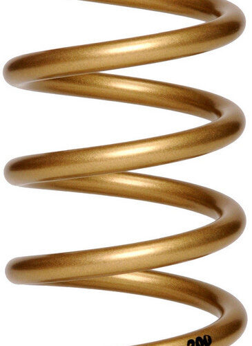 13in. x 5in. Progressive Rear Spring