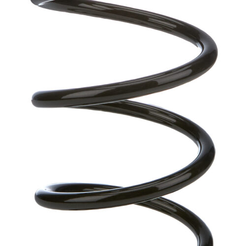 Coil Over Spring 2.5in x 12in Barrel 250lbs