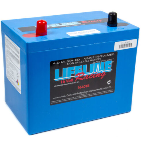 16 Volt 2 Post Battery
