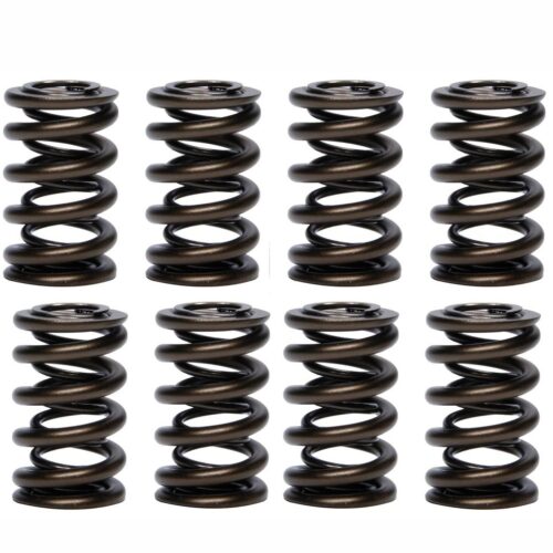 1.260 Dual Valve Springs (16)