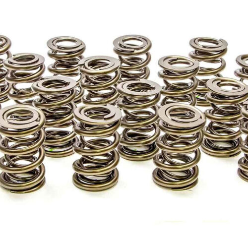 1.550 Dual Valve Springs (16)